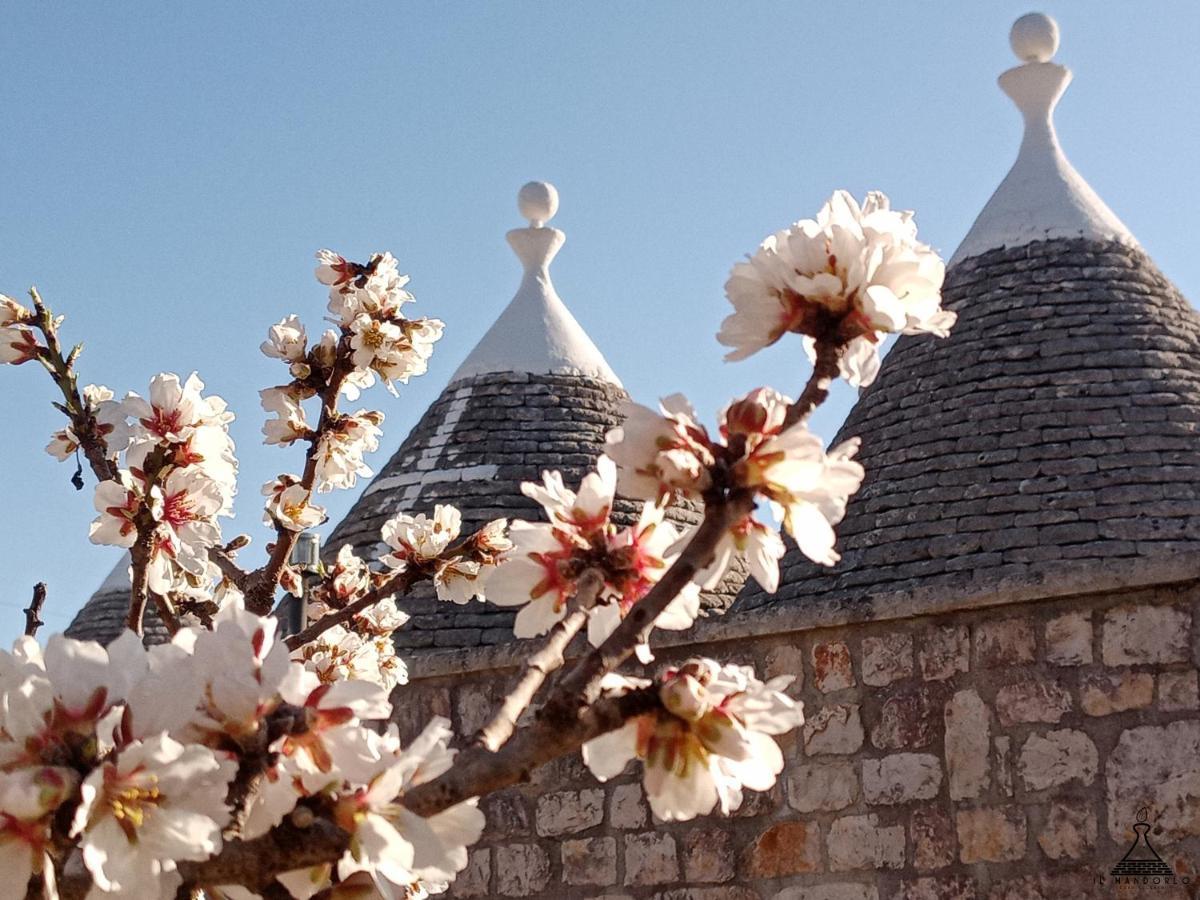 Willa Il Mandorlo Ostuni Zewnętrze zdjęcie